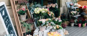 retail gardencenter hero img