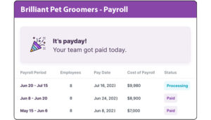 Brilliant Pet Groomer Payroll
