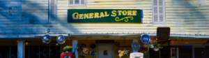 General Store Business x