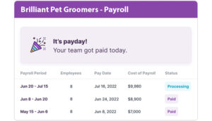 Pet Groomers Payroll