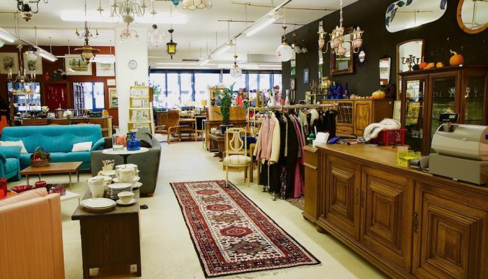 furniture store pos x