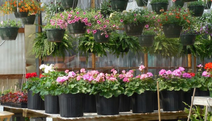 garden center pos x